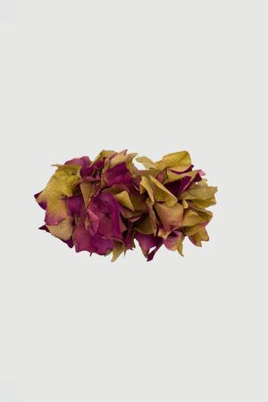 triztriz-pasador-morado-verde