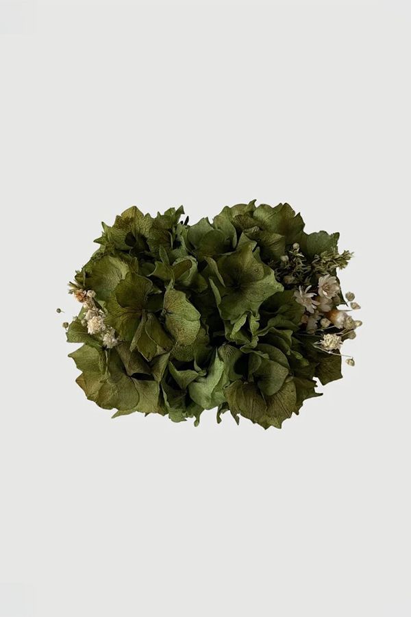 https://borow.es/wp-content/uploads/2025/06/triztriz-pasador-verde.jpg